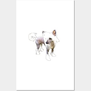 Chinese Crested Dog Posters and Art